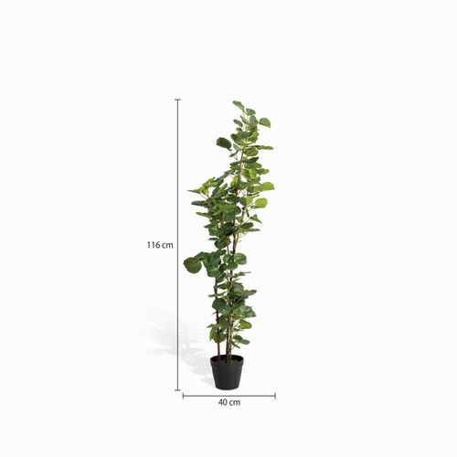 Planta Araliacea Artificial