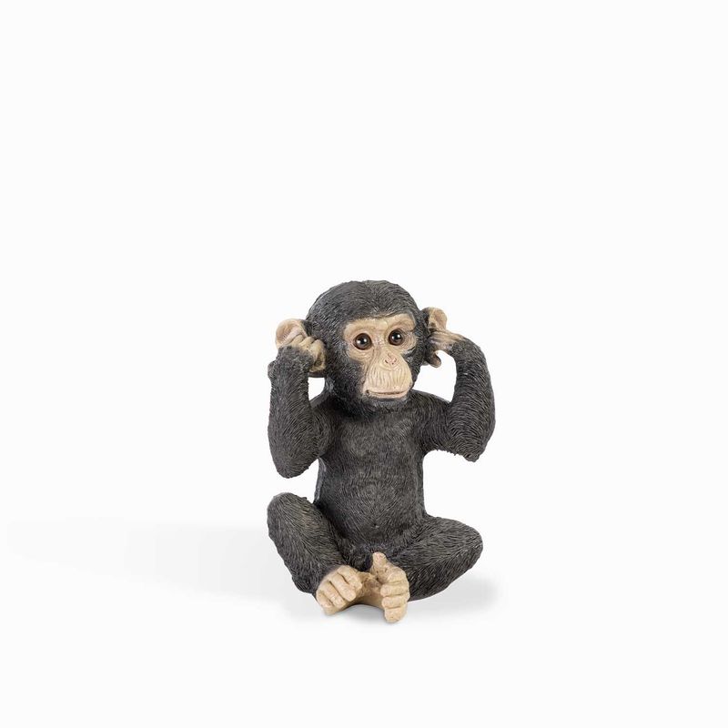 Chimpance-oidos