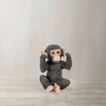 Chimpance-oidos