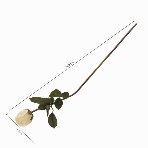 Rosa crema 50cm