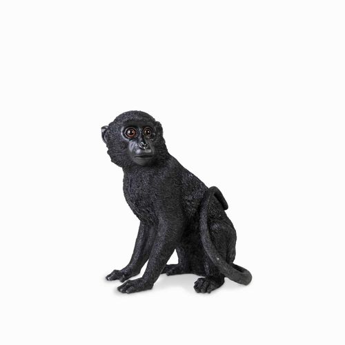 Mono negro