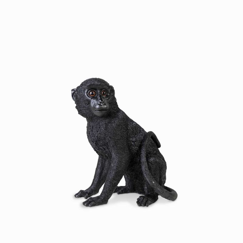 Mono-negro