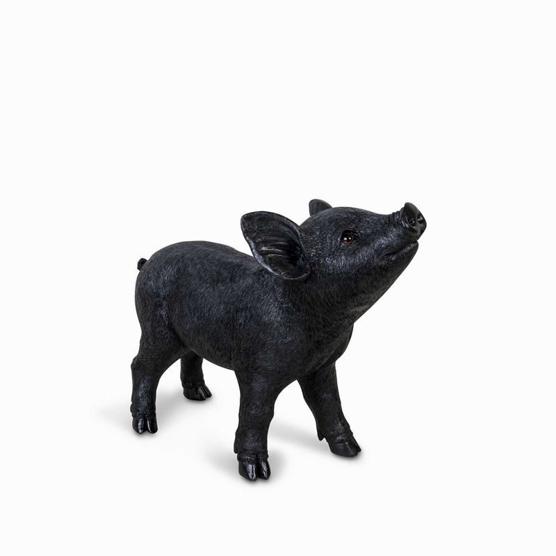 Mini-pig-negro