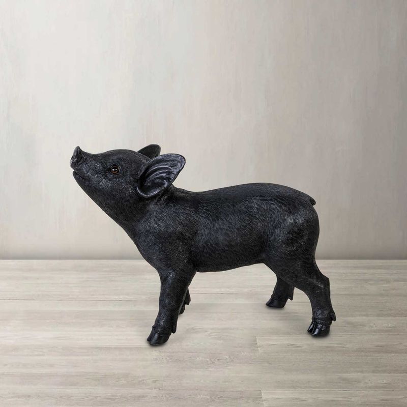 Mini-pig-negro