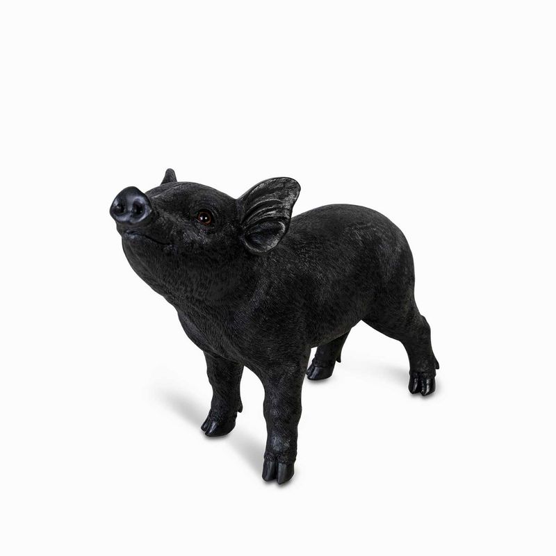 Mini-pig-negro