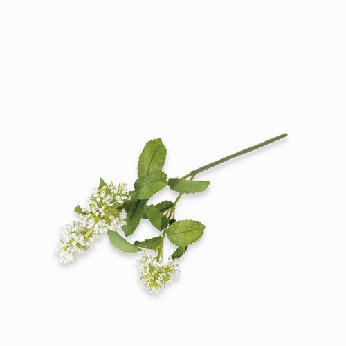 Flor de tallo blanca