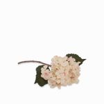 Hortencia-crema-46cm