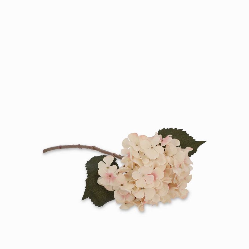 Hortencia-crema-46cm