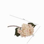 Hortencia-crema-46cm
