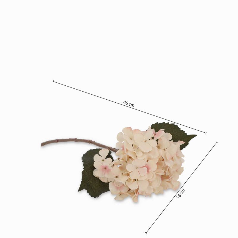 Hortencia-crema-46cm
