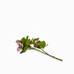 Flor-Viola-rosada-46cm