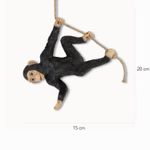 Chimpance-Malabarista