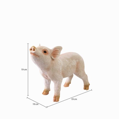 Minipig decorativo