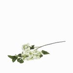 Racimo-hortensia-blanca