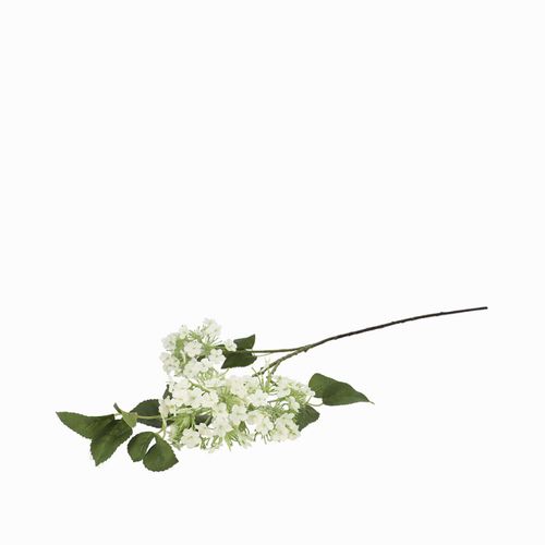 Racimo hortensia blanca