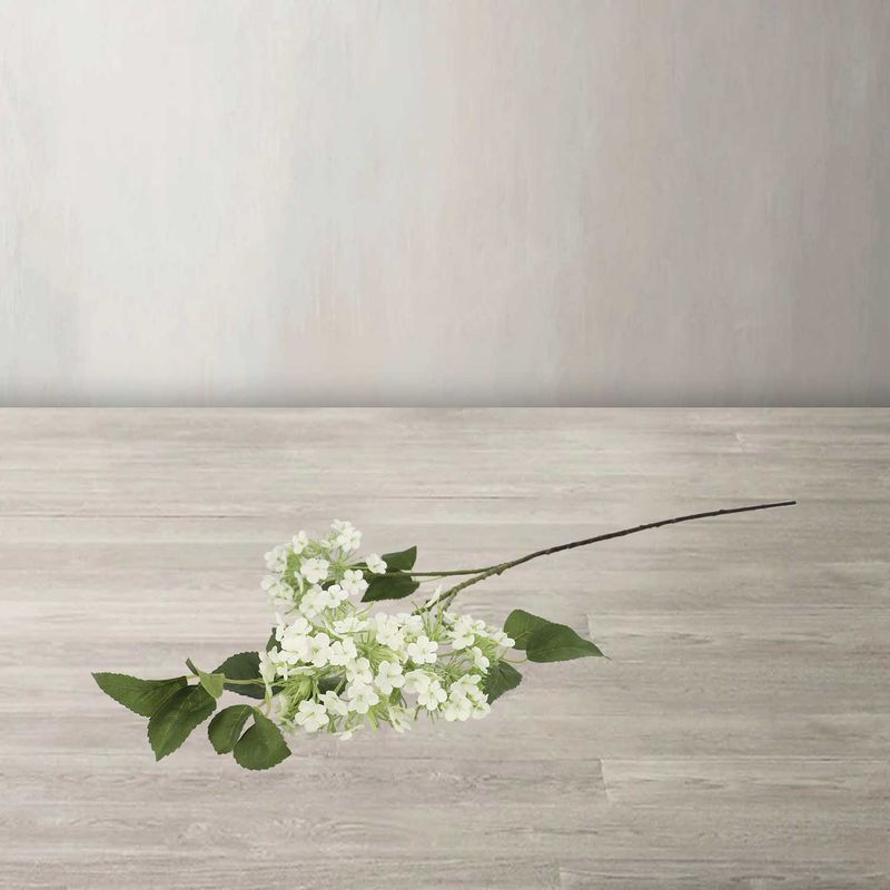 Racimo-hortensia-blanca