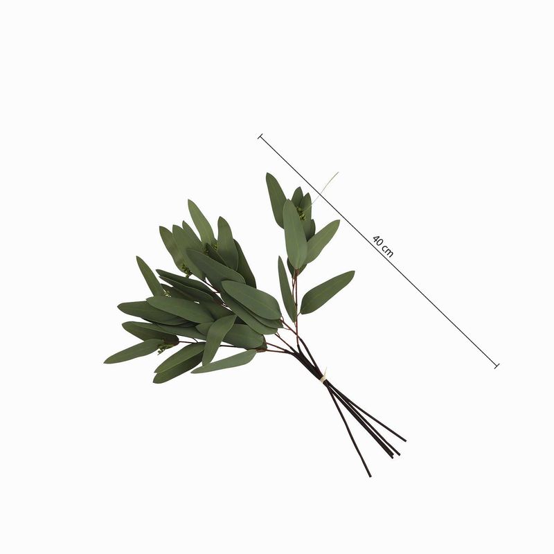 Racimo-eucalipto-largo-40cm
