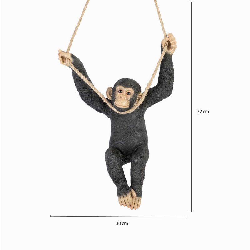 Chimpance-culumpio