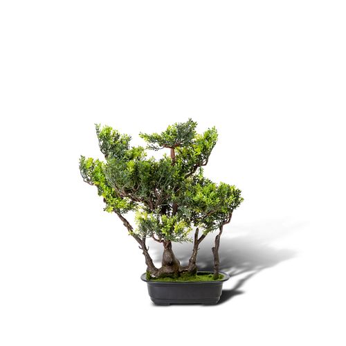 Bonsái Verde artificial 45 cm