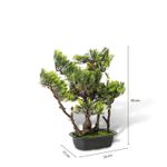 Bonsai-Verde-45-cm