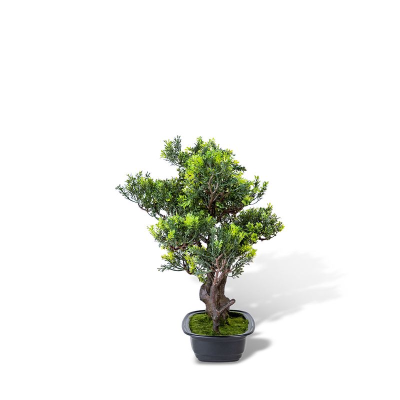 Bonsai-Verde-45-cm