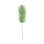 Hoja-de-Areca-121-cm