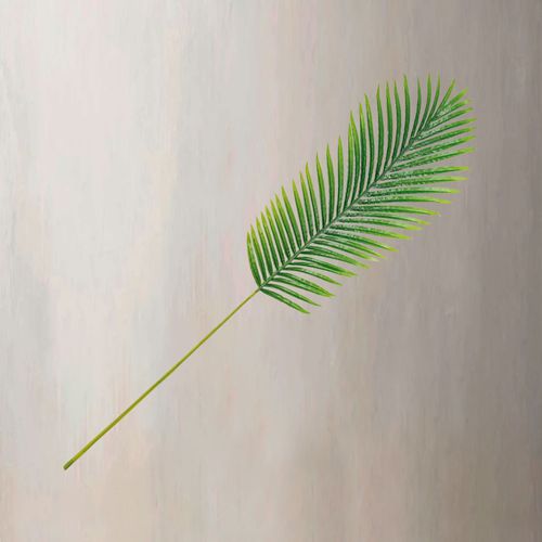 Hoja de Areca 121 cm