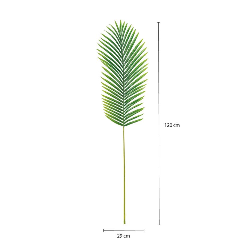 Hoja-de-Areca-121-cm