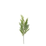 Hoja-Helecho-114-cm