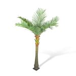 Palmera-de-Coco-300-cm