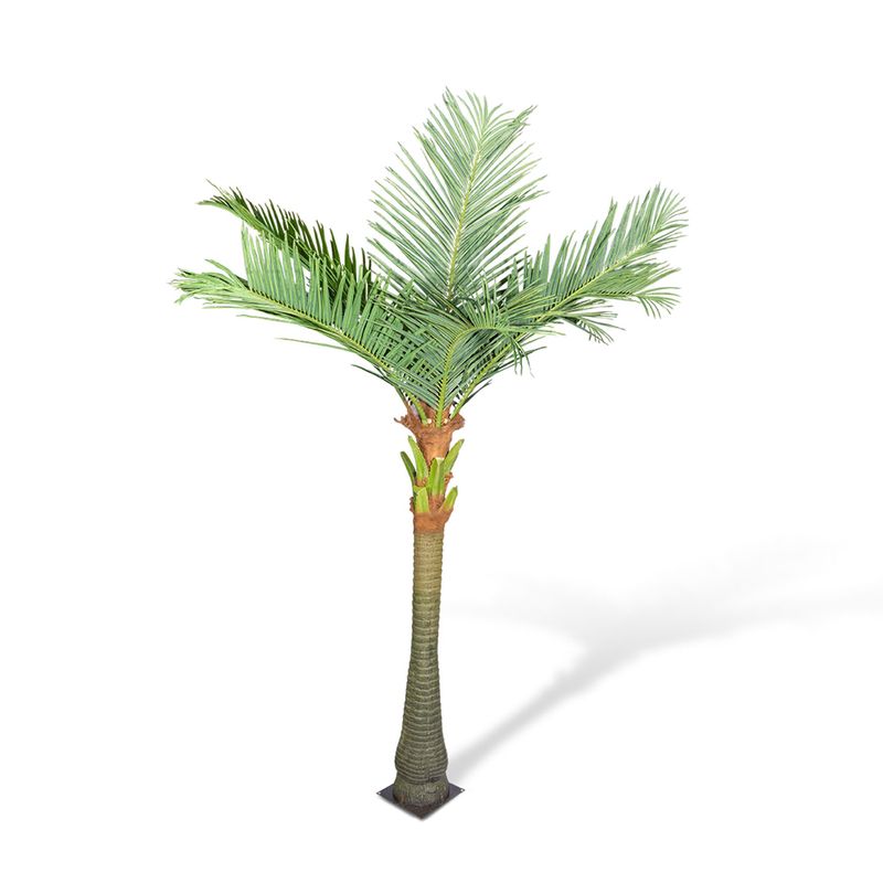 Palmera-de-Coco-300-cm