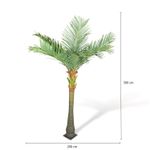 Palmera-de-Coco-300-cm