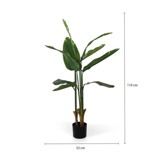 Planta Paraíso 110 cm