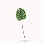 Hoja-Monstera