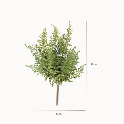 Rama Helecho 55 cm