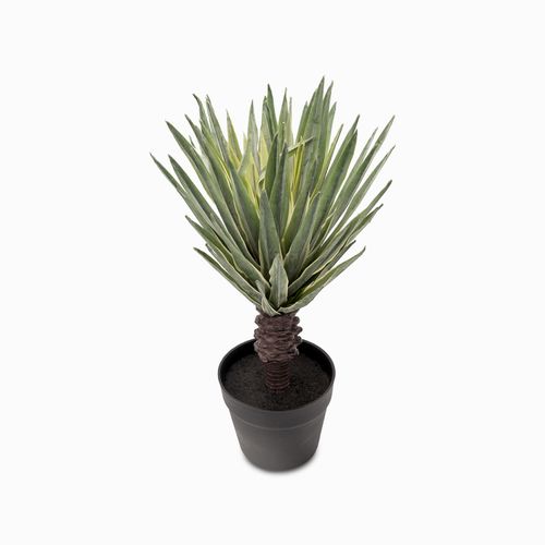 Sisal 49 cm