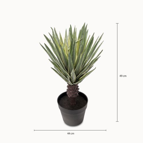 Sisal 49 cm