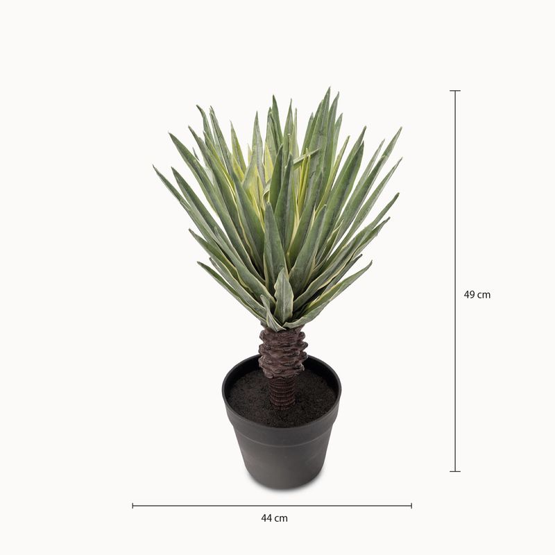 Sisal-49cm