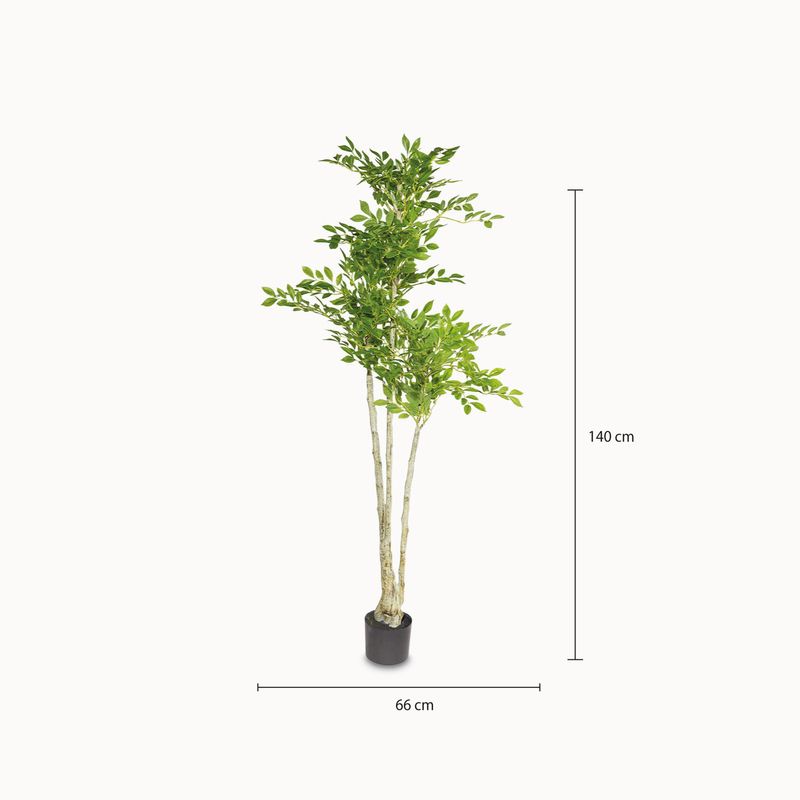 Arbol-uimus-140cm