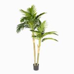 Palma-areca-180cm