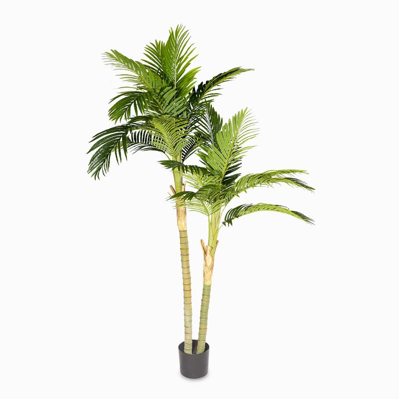 Palma-areca-180cm