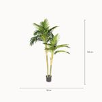 Palma-areca-180cm