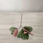 Rama-magnolia-68cm