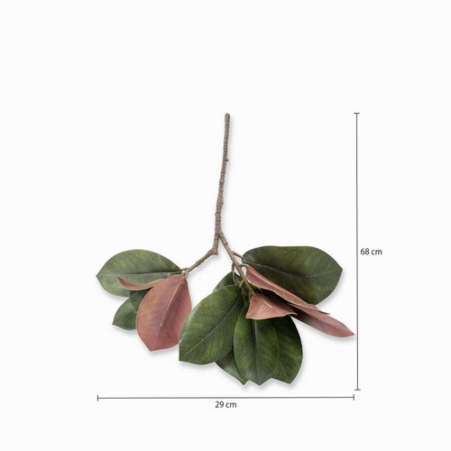 Rama Magnolia 68 cm