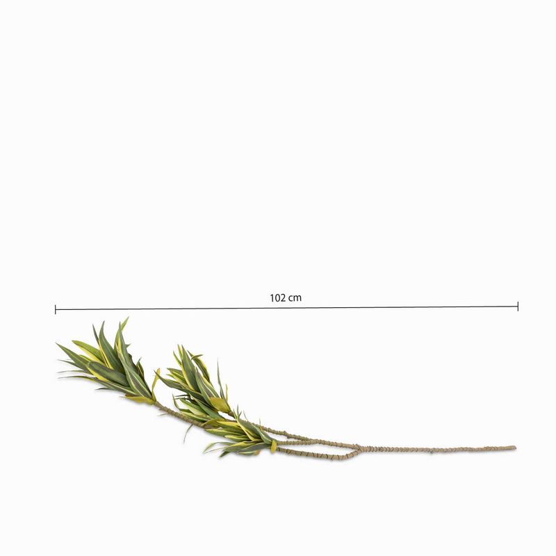 Arana-102cm