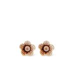 Pomo-rosa-tierras-set-x-2