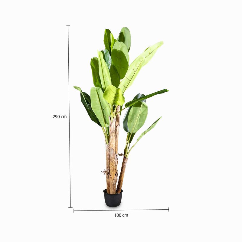 Arbol-de-platano-290cm