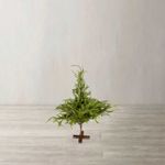 Arbol-lloron-100cm
