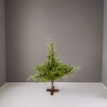 Arbol-lloron-100cm