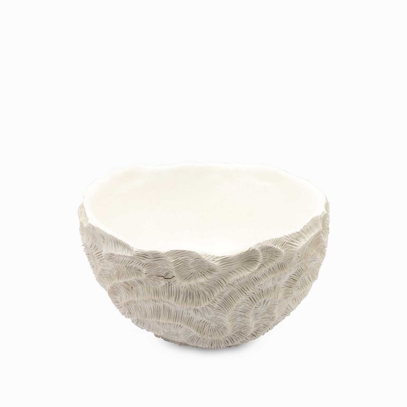Tazon-coral-26x40cm